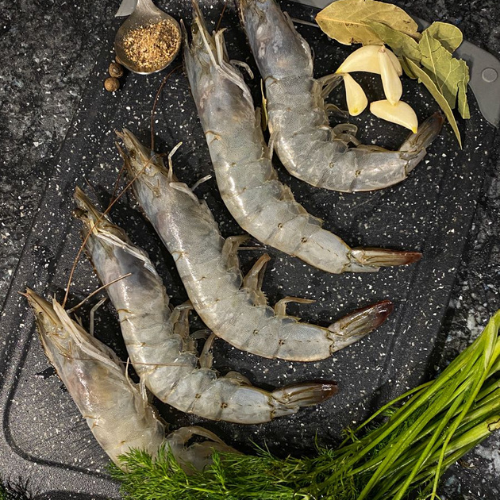 Shrimp & Prawns