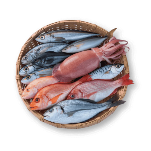 Seafood