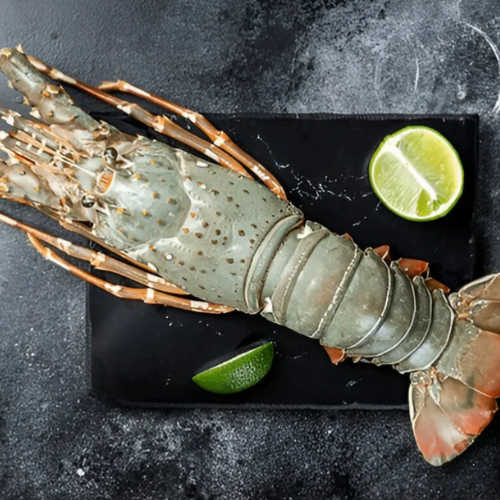 Shell Fish