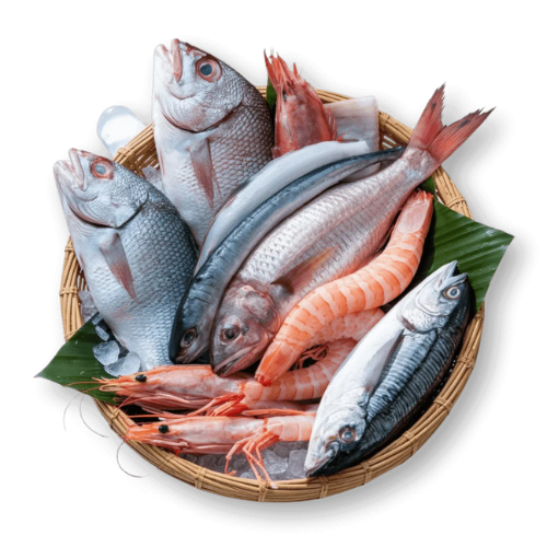 Fresh Water Fish