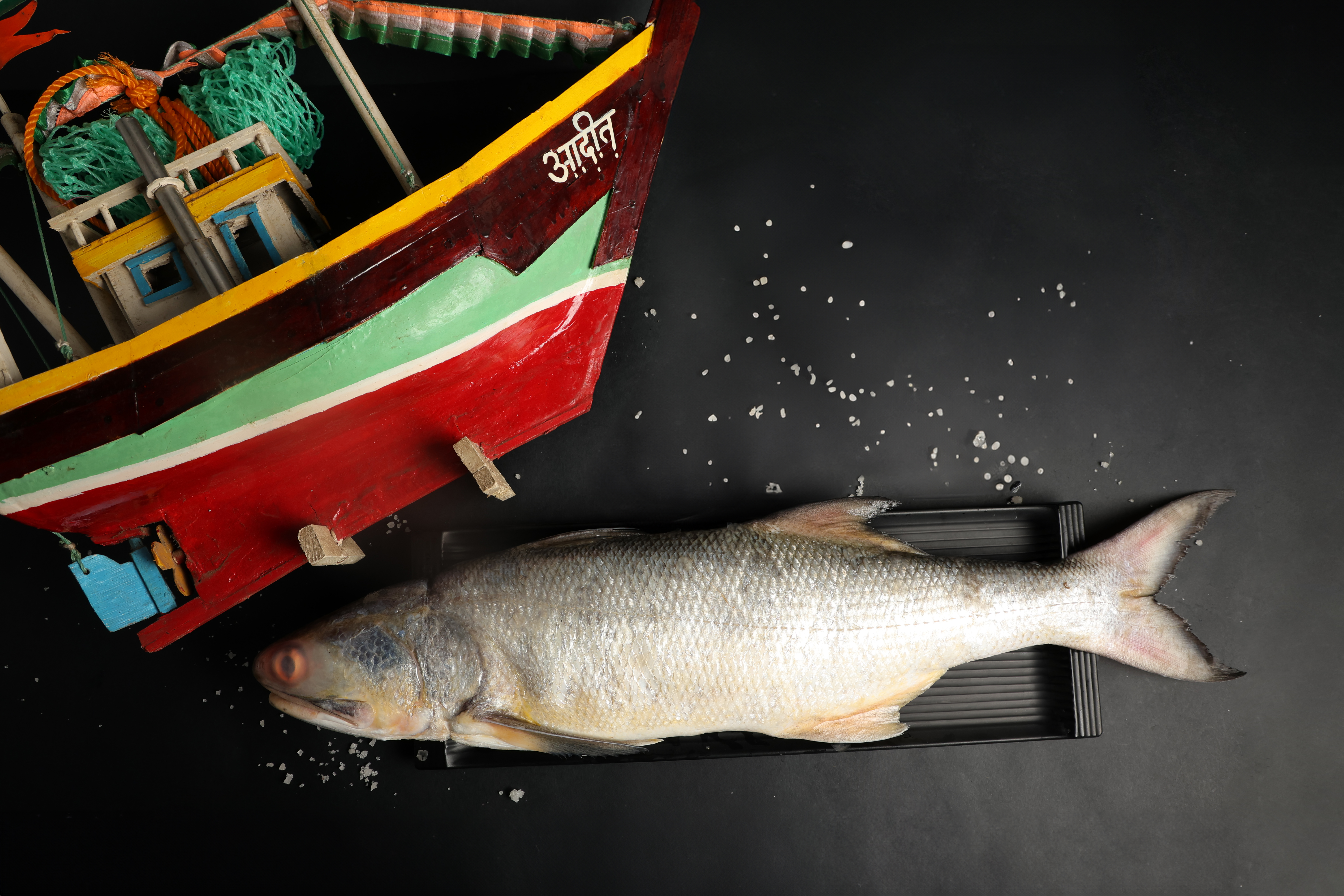 SS Rawas Indian Salmon BIG