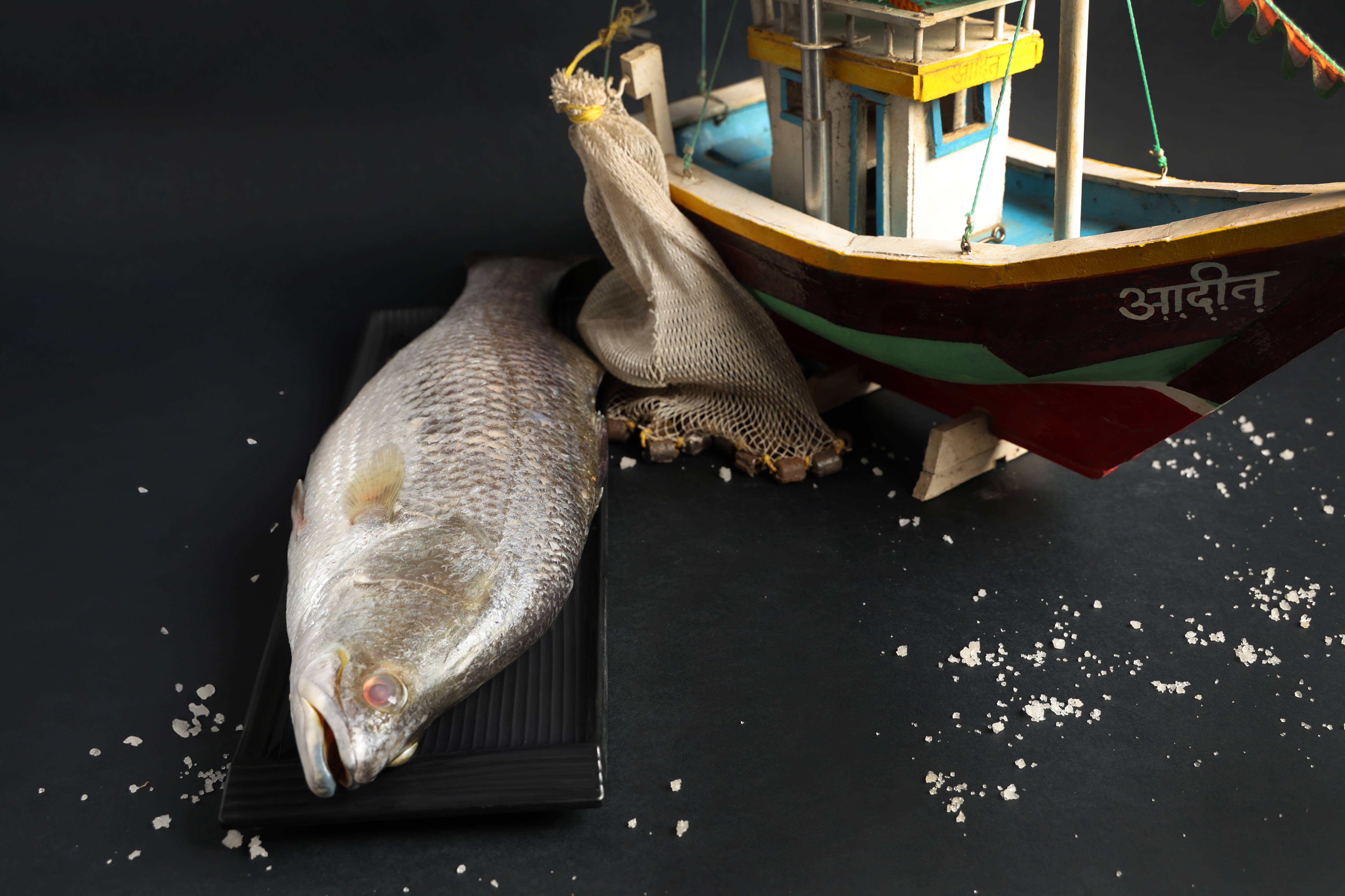 SS Sea Bass/ Barramundi/ Chonak